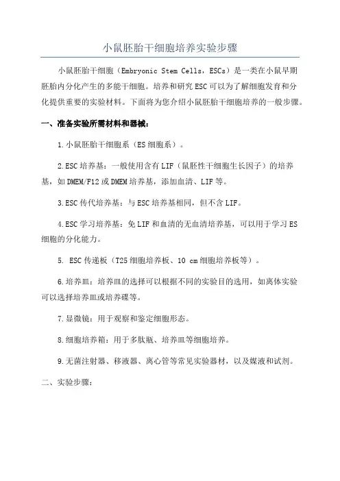 小鼠胚胎干细胞培养实验步骤