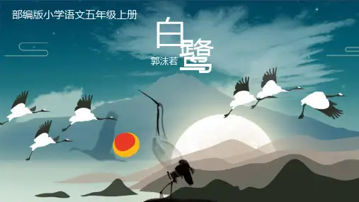 《白鹭》 课件(共28张PPT)