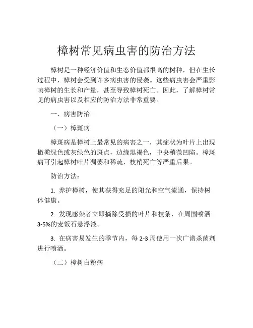 樟树常见病虫害的防治方法