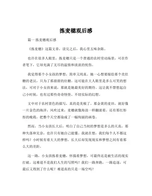 拣麦穗观后感