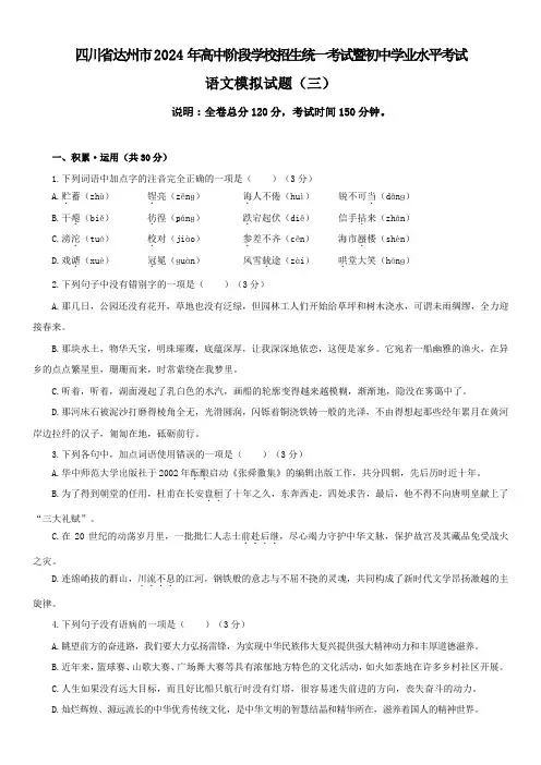 2024年四川省达州市高中阶段学校招生统一考试暨初中学业水平考试语文模拟测试卷  (三)