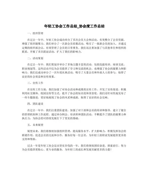 年轻工协会工作总结_协会度工作总结