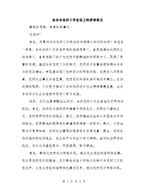 在全市农村工作会议上的讲话范文（二篇）
