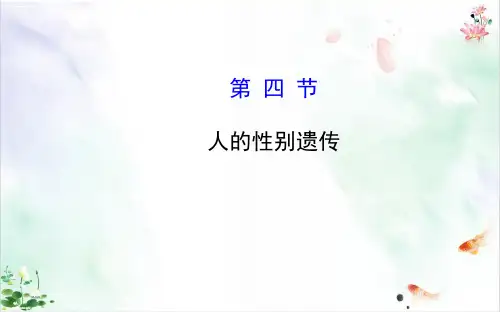 人教版生物《人的性别遗传》演示课件
