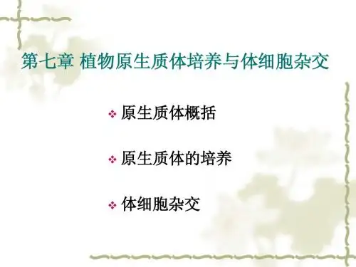 植物原生质体培养与体细胞杂交