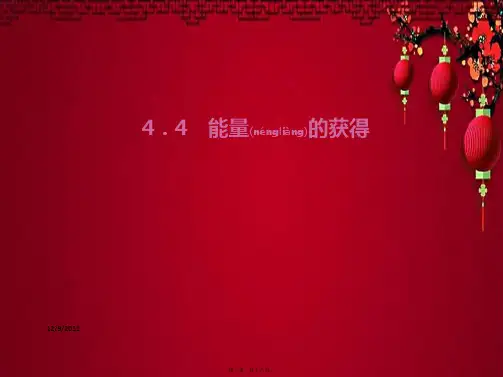 九年级科学上册 4.4 能量的获得习题课件浙教浙教级上册自然科学课件