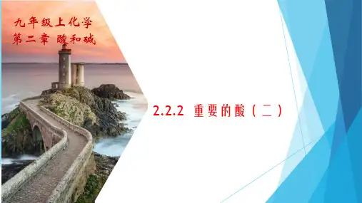华师大版科学九上.2重要的酸课件(20页)
