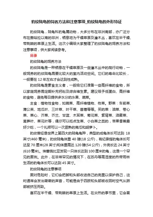 豹纹陆龟的饲养方法和注意事项_豹纹陆龟的外形特征
