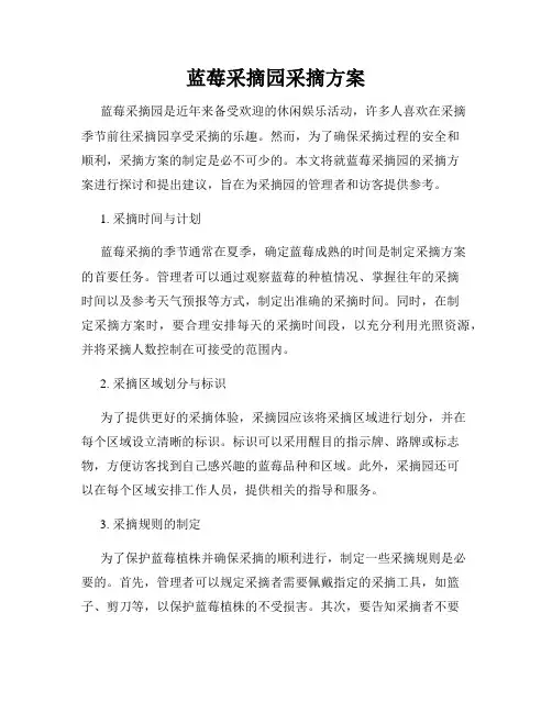蓝莓采摘园采摘方案