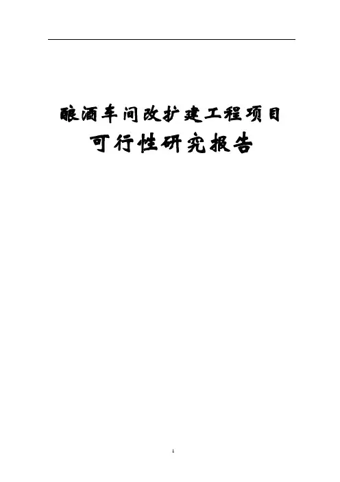 酿酒车间改扩建工程项目可行性研究报告