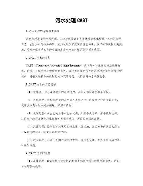 污水处理CAST