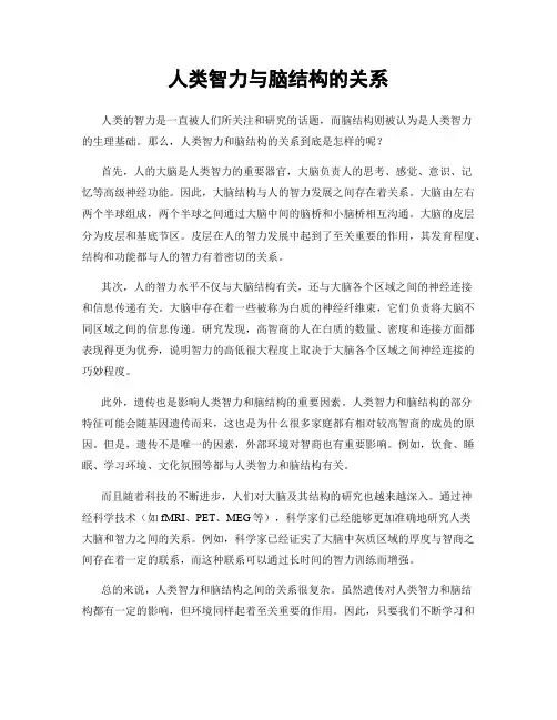 人类智力与脑结构的关系