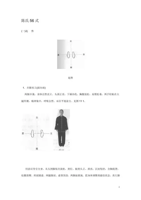 陈氏太点极拳56式图解