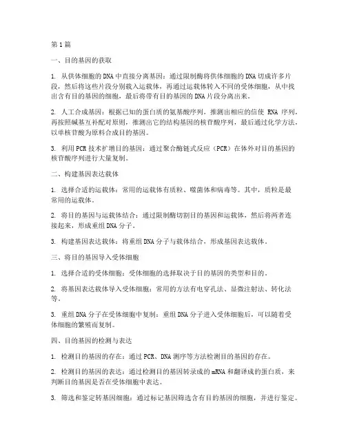 基因工程施工程序(3篇)
