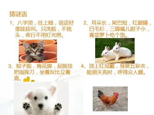 作文指导——写一种小动物 (1)