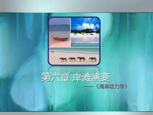 第六章岸滩演变