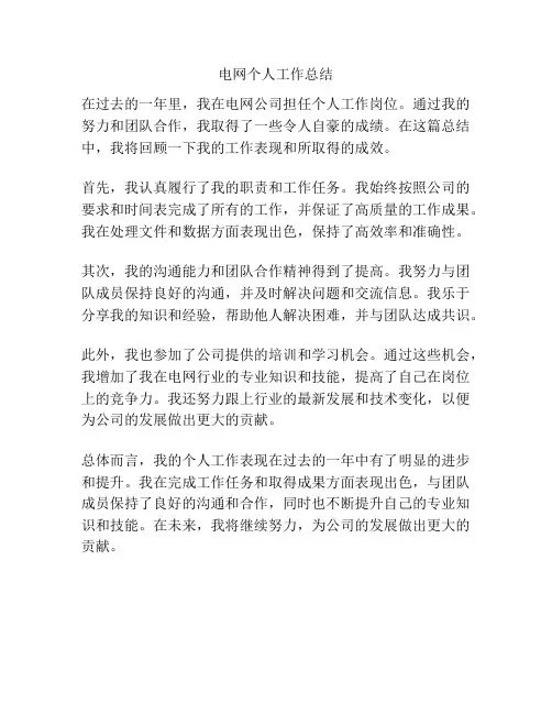 电网个人工作总结