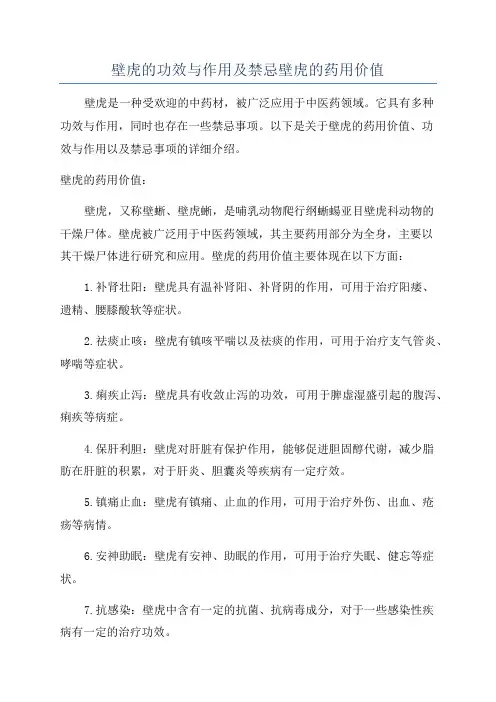 壁虎的功效与作用及禁忌壁虎的药用价值