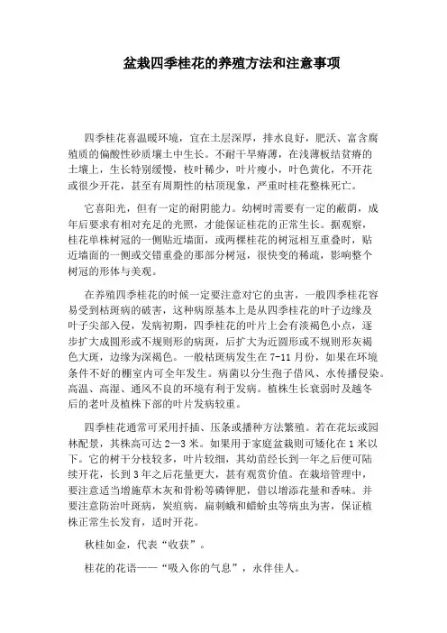 盆栽四季桂花的养殖方法和注意事项