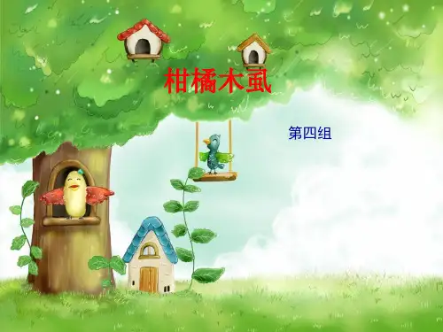 柑橘木虱