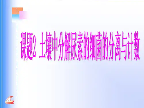 土壤中分解尿素的细菌的分离和计数