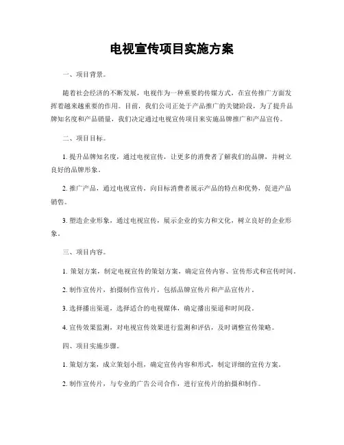 电视宣传项目实施方案