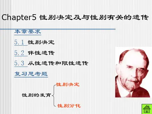 第五章性别决定及与性别有关的遗传
