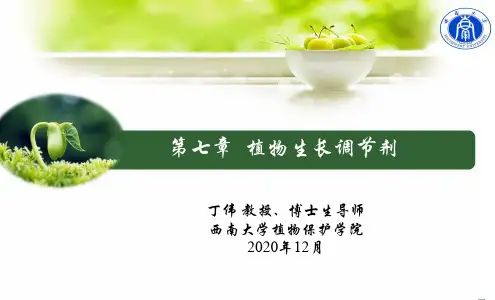 第七章 植物生长调节剂的应用技术