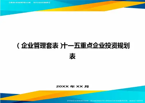 (企业管理套表)十一五重点企业投资规划表