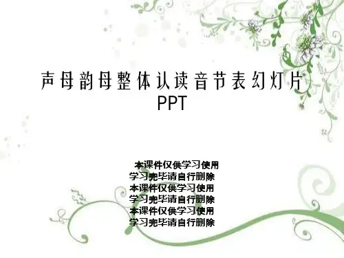 声母韵母整体认读音节表幻灯片PPT