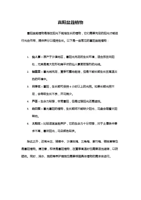 喜阳盆栽植物
