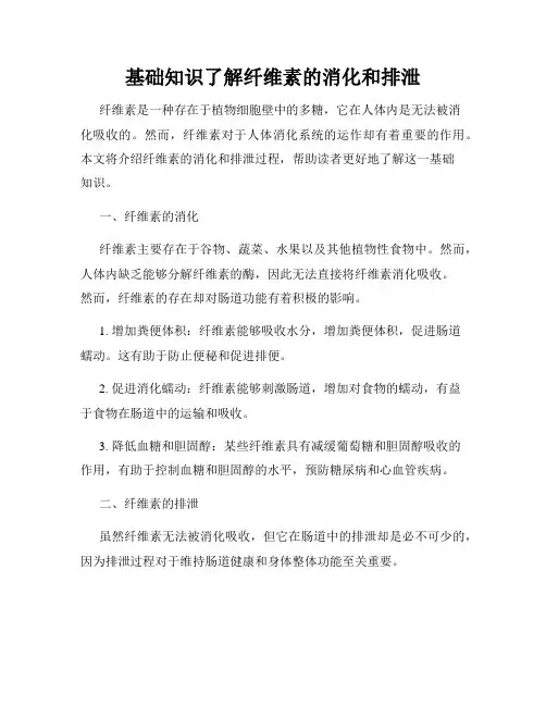 基础知识了解纤维素的消化和排泄
