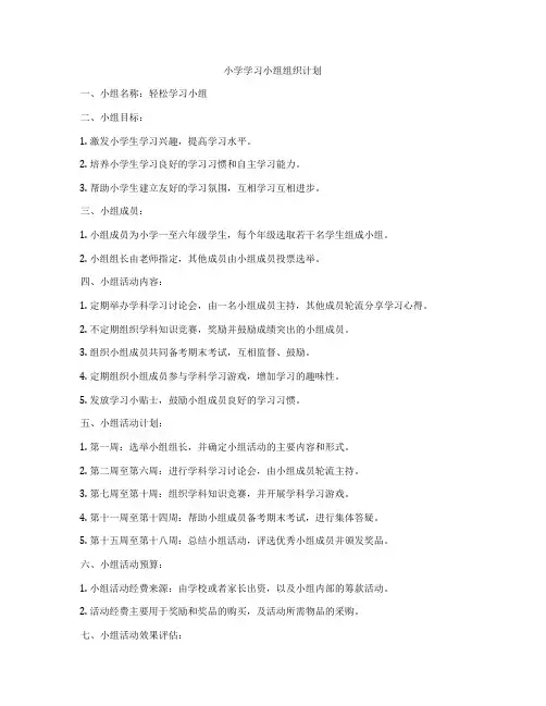 小学学习小组组织计划