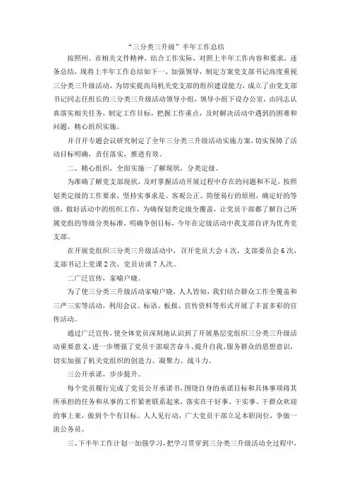 最新-三分类三升级半年工作总结 精品
