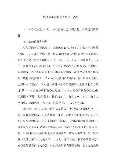 解剖学考试知识点整理：心脏