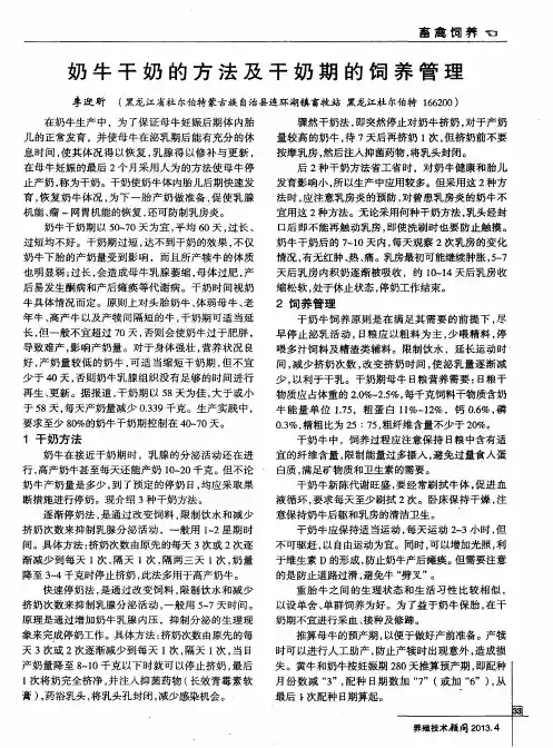 奶牛干奶的方法及干奶期的饲养管理