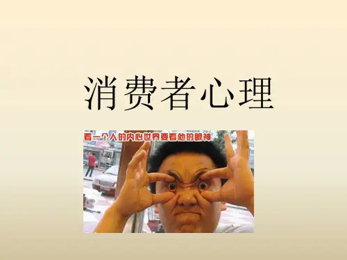 消费者心理分析 PPT课件