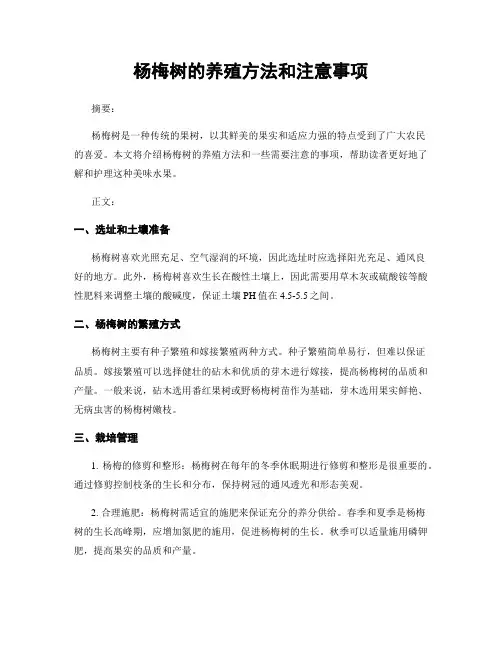 杨梅树的养殖方法和注意事项