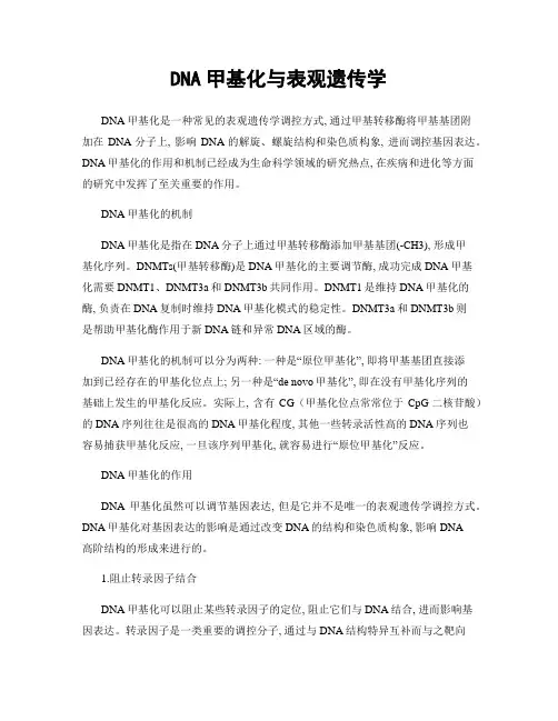 DNA甲基化与表观遗传学