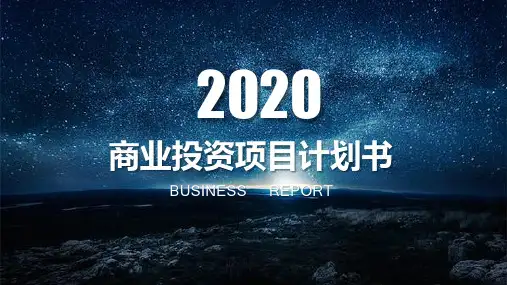商业投资项目计划书ppt模板