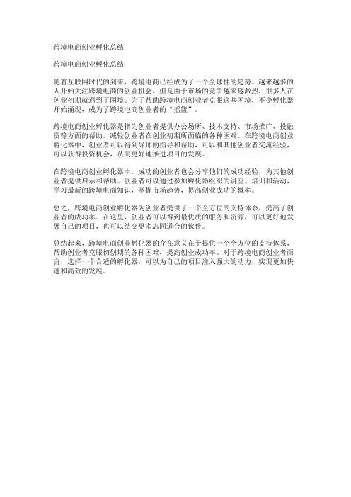跨境电商创业孵化总结