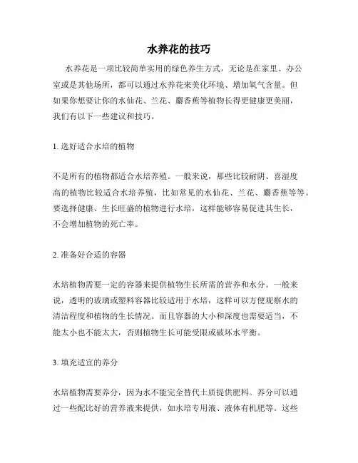 水养花的技巧