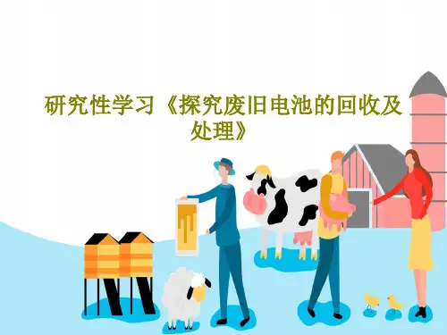 研究性学习《探究废旧电池的回收及处理》共19页文档
