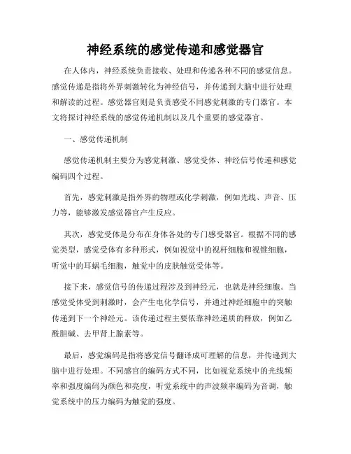 神经系统的感觉传递和感觉器官