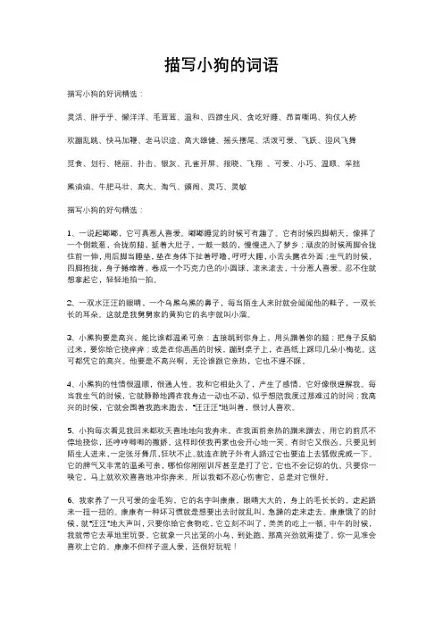 描写小狗的词语