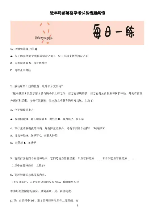 近年局部解剖学考试易错题集锦