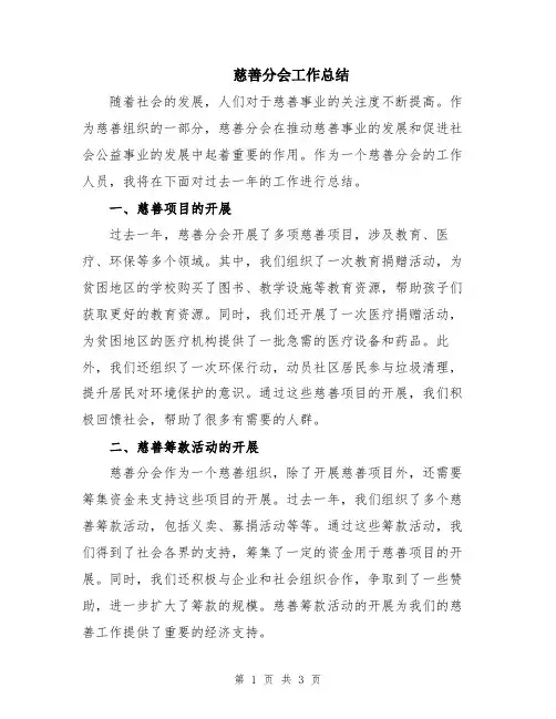 慈善分会工作总结