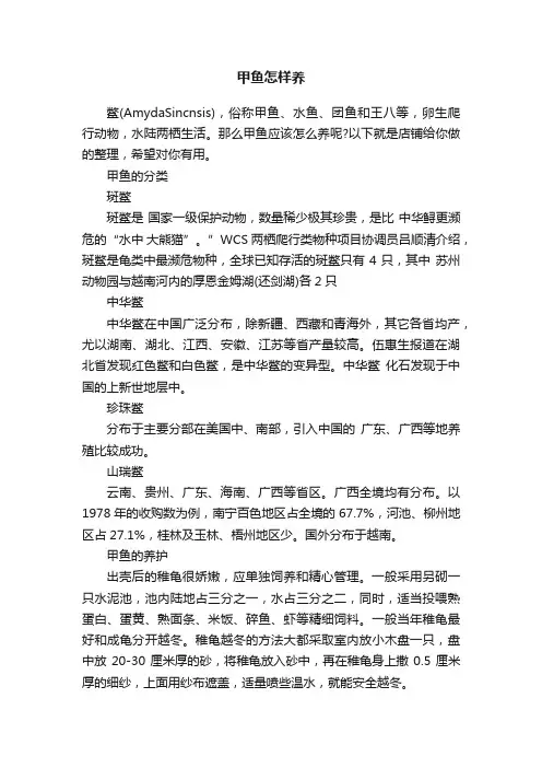 甲鱼怎样养