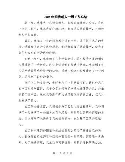 2024年销售新人一周工作总结