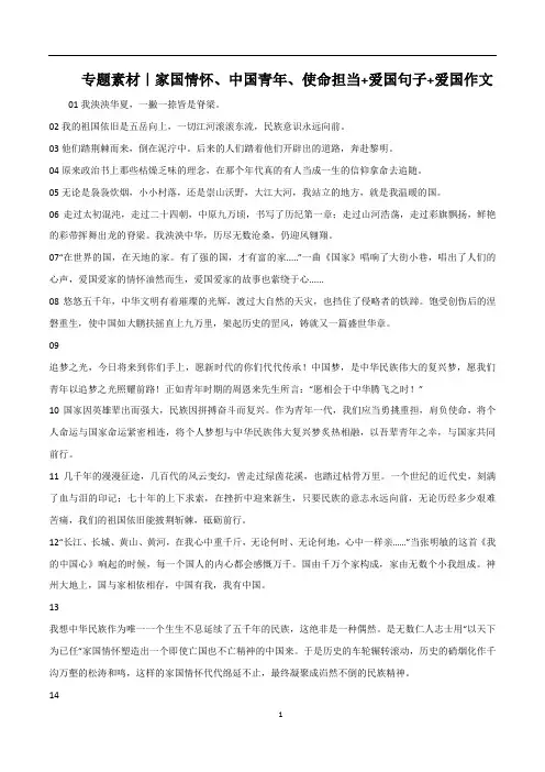 【16页】家国情怀、中国青年、使命担当 爱国句子 作文-2023年中考语文高分作文写作技巧 经典素材
